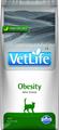 VET LIFE CAT OBESITY KG 2