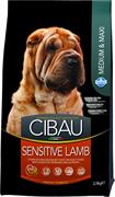 CIBAU SENSITIVE MEDIUM/MAXI AGNELLO KG 2,5