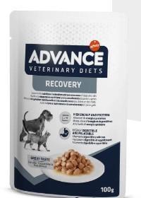 ADVANCE DOG/CAT RECOVERY 11 X GR 100