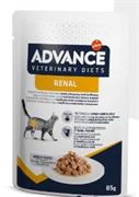 ADVANCE CAT RENAL 12 X GR 85