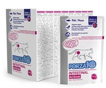 FORZA 10 CAT BUSTE INTESTINAL ACTIVE 12 X GR 100