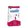 FORZA 10 CAT MANTENIMENTO GR 350 ANATRA
