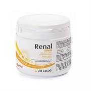 RENAL COMBI POLVERE GR 240
