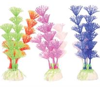 ZOL COMPOSIZIONE PIANTA M