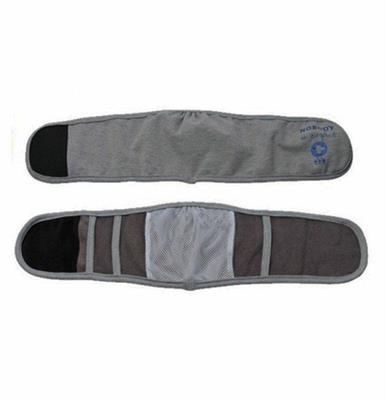 CAMON FASCIA X CANI MASCHI GRIGIA TG 5