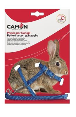CAM PARURECONIGLIBASIC*8X1200