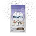 FORZA 10 DOG DIET LOW GRAIN MINI/TOY AGNELLO/RISO KG 1,5