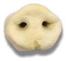 MUSETTO SUINO SOFFIATO PICCOLO TERMORETRATTILE