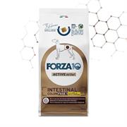 FORZA 10 INTESTINAL COLON FASE 1 AGNELLO/SORGO KG 10