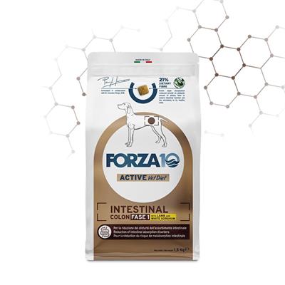 FORZA 10 INTESTINAL COLON FASE 1 AGNELLO/SORGO KG 1,5