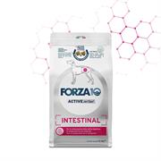 FORZA 10 DOG INTESTINAL ACTIVE KG 1,5