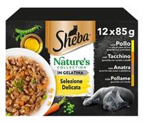 SHEBA NATURE COLLECTION SELEZIONE DELICATA 12 X GR 85