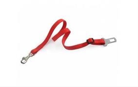 CAMON GUINZAGLIO SICUREZZA MM 15