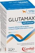 GLUTAMAX ADVANCED CANI 30 CPR
