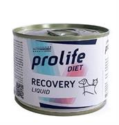 PROLIFE DOG/CAT RECOVERY GR 190