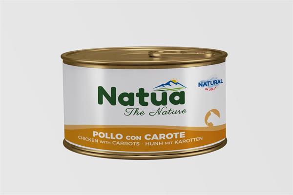 NATUA CAT IN JELLY POLLO/CAROTE GR 85