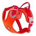 PETTORINA W/E WARRIOR ECO ROSA CANINA 80-100