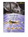 ROLLS ROCKY BISCOSSO GR 300