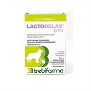 LACTORELAX 18 JELLY GR 6