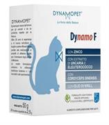 DYNAMO F GATTI 20 BUSTINE 2,5 GR