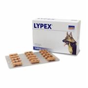 LYPEX 60 CAPSULE