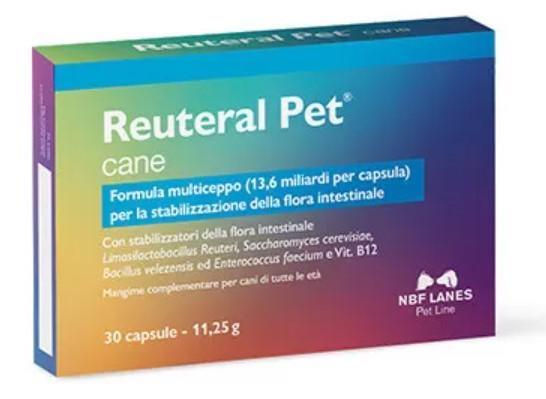 REUTERAL PET CANE 30 CPR