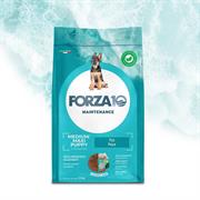 FORZA 10 PUPPY PESCE MEDIUM/LARGE KG 12 NEW