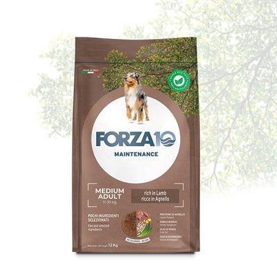 FORZA 10 MEDIUM MANTENIMENTO AGNELLO/RISO KG 12 NEW