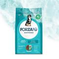 FORZA 10 MAXI MANTENIMENTO PESCE KG 12 NEW