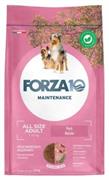 FORZA 10 MEDIUM MANTENIMENTO MAIALE KG 12 NEW
