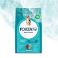 FORZA 10 MEDIUM MANTENIMENTO MAIALE KG 12 NEW