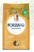 FORZA 10 MEDIUM MANTENIMENTO POLLO/PATATE KG 12 NEW