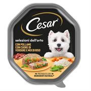 CESAR CUORE POLLAME/VERDURE/RISO 14 X GR 150