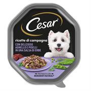 CESAR RICETTE DI CAMPAGNA AGNELLO/PISELLI IN SALSA DI ERBE 14 X GR 1