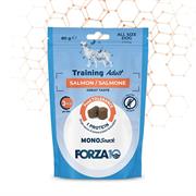 FORZA 10 DOG SNACK TRAINING SALMONE GR 80