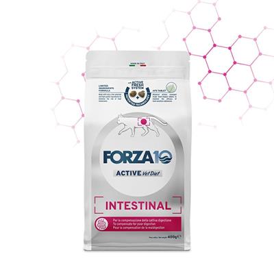 FORZA 10 CAT INTESTINAL ACTIVE GR 400
