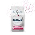 FORZA 10 CAT INTESTINAL ACTIVE GR 400