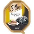 SHEBA VASCHETTA DELICATEZZE POLLO GELATINA 22 X GR 85