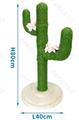NOBLEZA CACTUS TIRAGRAFFI VERDE