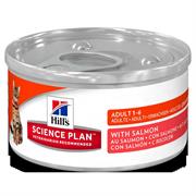 HILL'S MANTENIMENTO SALMONE 12 X GR 82