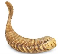 ARQUIVET CORNO DI MONTONE M <  GR 200