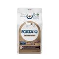 FORZA 10 INTESTINAL COLON FASE I MINI PESCE KG 1,5