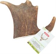 ZOL CORNA DI DAINO L