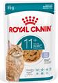 AGEING 11+ CAT GRAVY ROYAL CANIN BUSTE 12 X GR 85