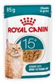 AGEING 15+ CAT GRAVY ROYAL CANIN BUSTE 12 X GR 85