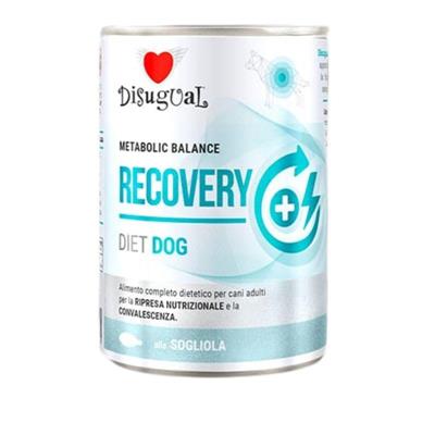 DISUGUAL DOG DIET RECOVERY GR 400 SOGLIOLA