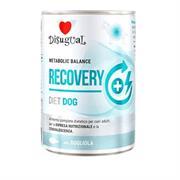 DISUGUAL DOG DIET RECOVERY GR 400 SOGLIOLA