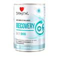 DISUGUAL DOG DIET RECOVERY GR 400 SOGLIOLA