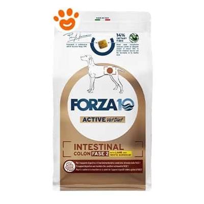 FORZA 10 INTESTINAL COLON FASE II AGNELLO/SORGO KG 1,5