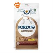 FORZA 10 INTESTINAL COLON FASE II AGNELLO/SORGO KG 1,5